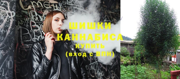 молекула духа Липки