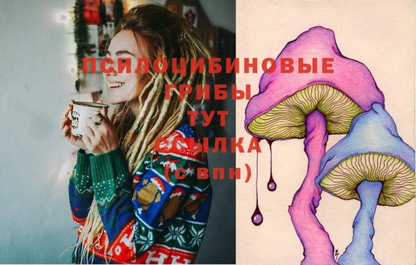 молекула духа Липки