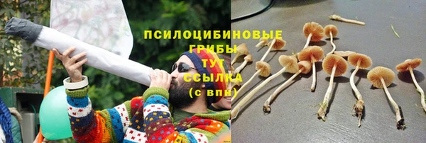 молекула духа Липки