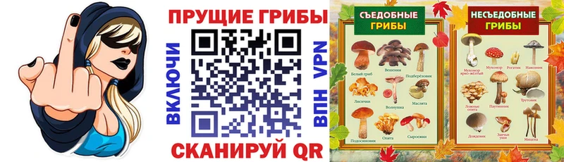 маркетплейс телеграм  Долгопрудный  Галлюциногенные грибы Psilocybine cubensis  blacksprut сайт 