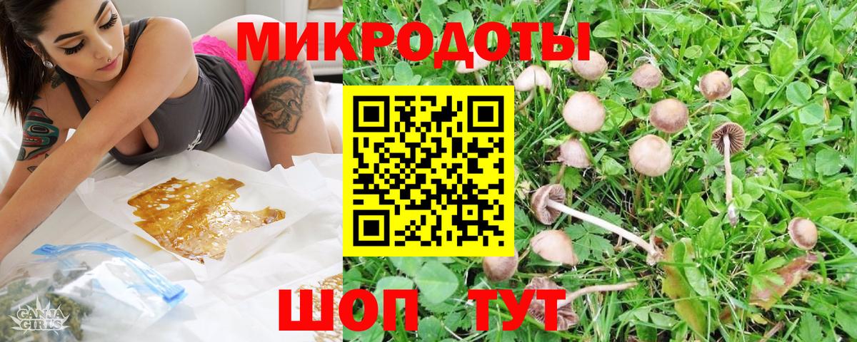 Галлюциногенные грибы мицелий Долгопрудный